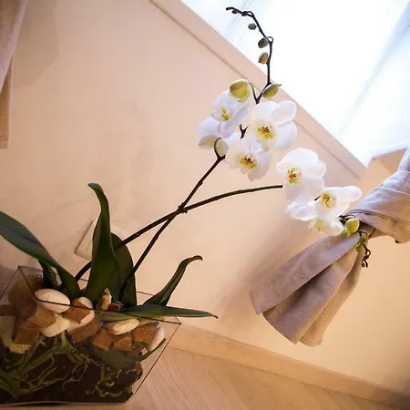 Apartamento Le Refuge D'orphee